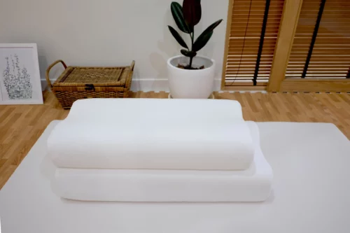 Teen-Ozone-Pillow-1 Teen-Ozone-Pillow-1