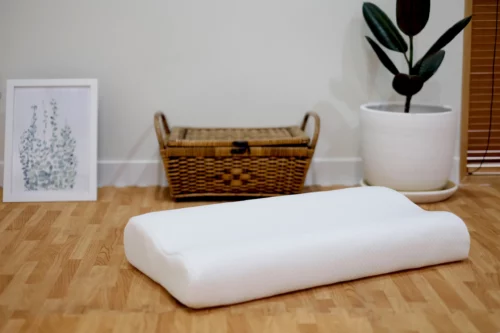 Teen-Ozone-Pillow-3 Teen-Ozone-Pillow-3