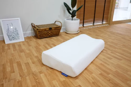 Teen-Ozone-Pillow-5 Teen-Ozone-Pillow-5