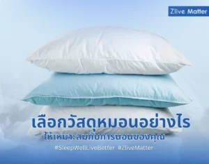 เลือกวัสดุหมอนอย่างไร ให้เหมาะสมกับการนอนของคุณ