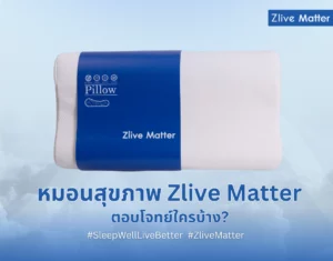 หมอนสุขภาพ Zlive Matter ตอบโจทย์ใครบ้าง