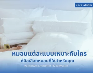 หมอนแต่ละแบบเหมาะกับใคร คู่มือเลือกหมอนที่ใช่สำหรับคุณ