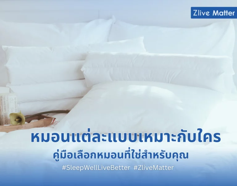 หมอนแต่ละแบบเหมาะกับใคร คู่มือเลือกหมอนที่ใช่สำหรับคุณ