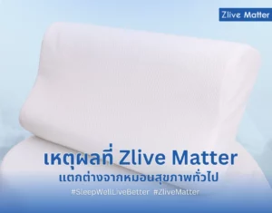 เหตุผลที่ Zlive Matter แตกต่างจากหมอนสุขภาพทั่วไป