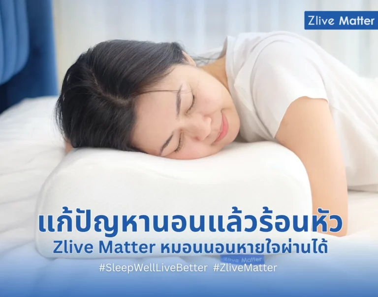 แก้ปัญหานอนแล้วร้อนหัว Zlive Matter หมอนนอนหายใจผ่านได้